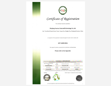 16949 Zhejiang Huansu Technology Certificate